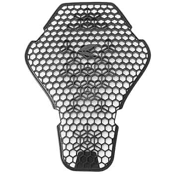 Amazon | RSタイチ(RS TAICHI) 2025モデル 背中プロテクター CE